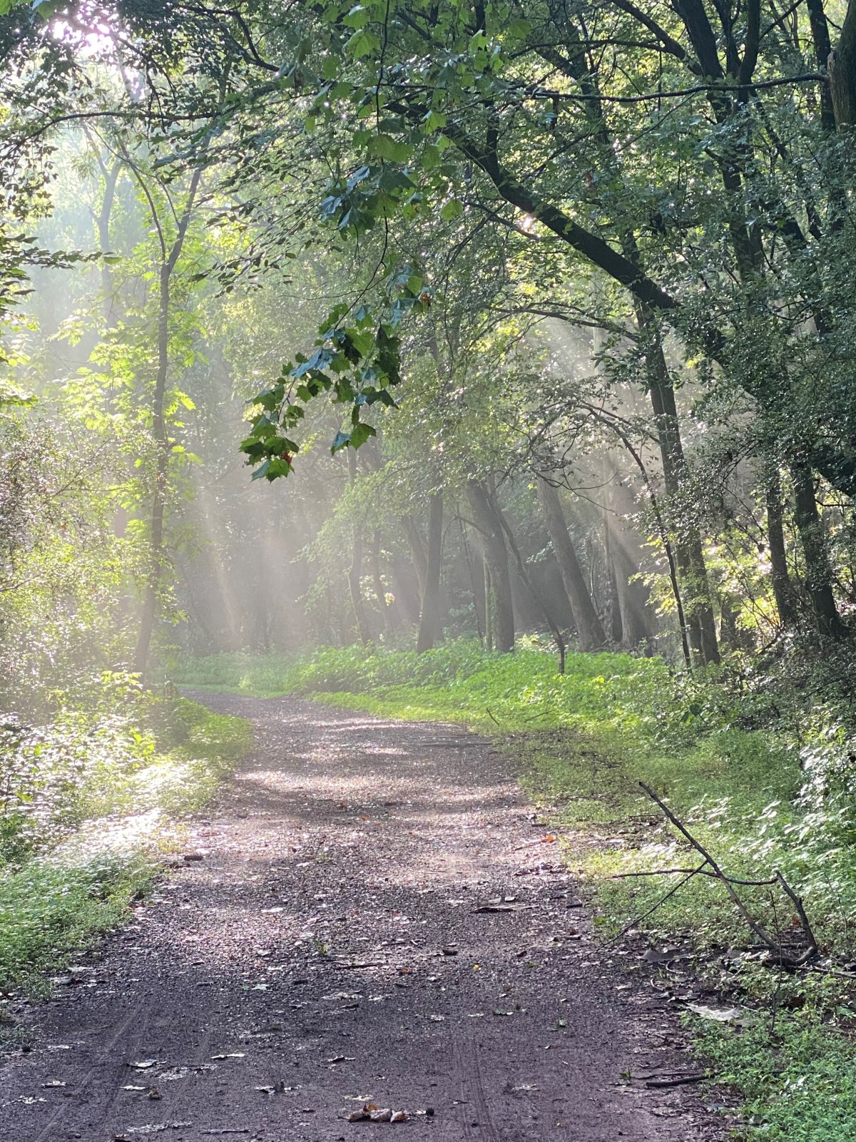 This Is Not The&nbsp;End